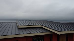 Best Storm Damage Roof Repair  in Roanoke, VA